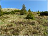 Tegoška planina - Pungartska gora